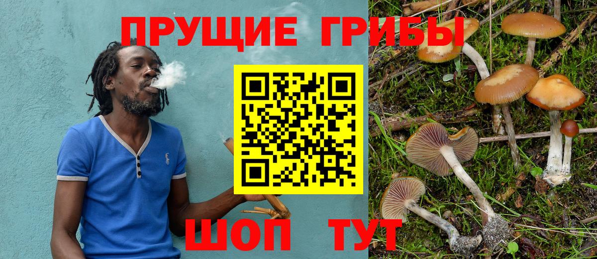 даркнет сайт  Вход с VPN  Алатырь  Псилоцибиновые грибы прущие грибы  Псилоцибиновые грибы Psilocybine cubensis 