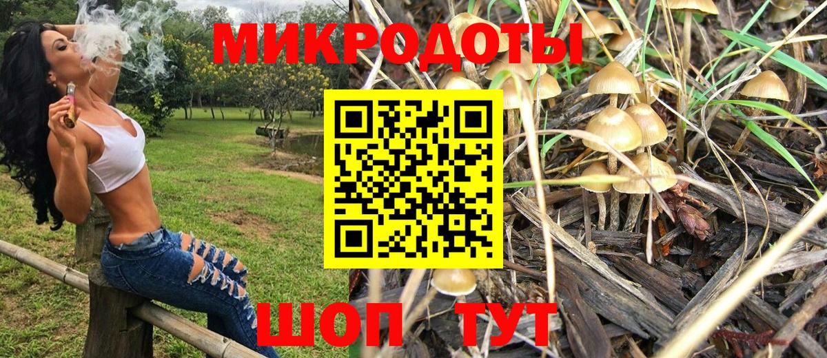 как найти   Алатырь  Галлюциногенные грибы ЛСД  Галлюциногенные грибы ЛСД 