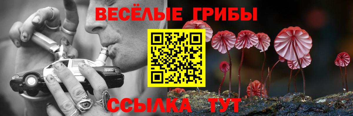Псилоцибиновые грибы мухоморы Алатырь